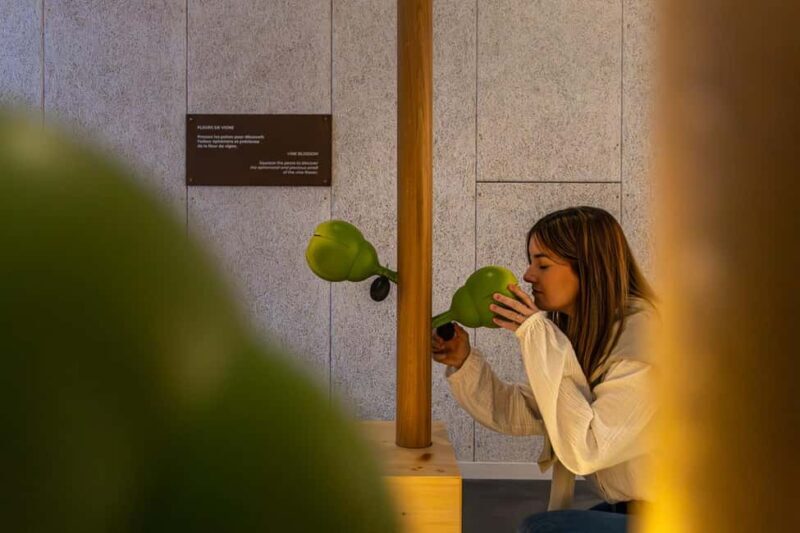 Aÿ-Champagne: Pressoria Champagne Museum with Tasting - What You Can Expect from the Pressoria Champagne Museum