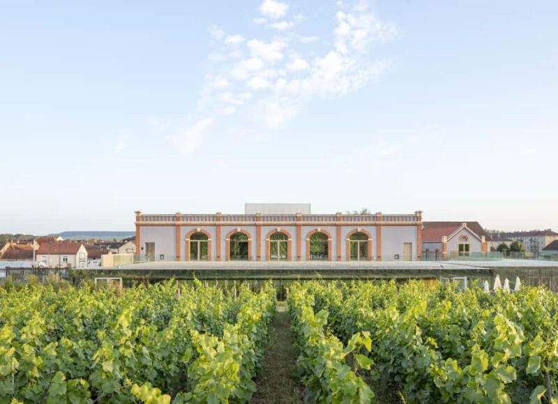 Aÿ-Champagne: Pressoria Champagne Museum with Tasting - Tasting Two Champagnes: A Delicious Finish