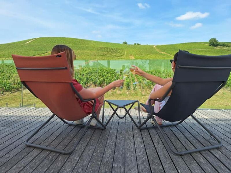 Aÿ-Champagne: Pressoria Champagne Museum with Tasting - Who Should Consider This Tour?