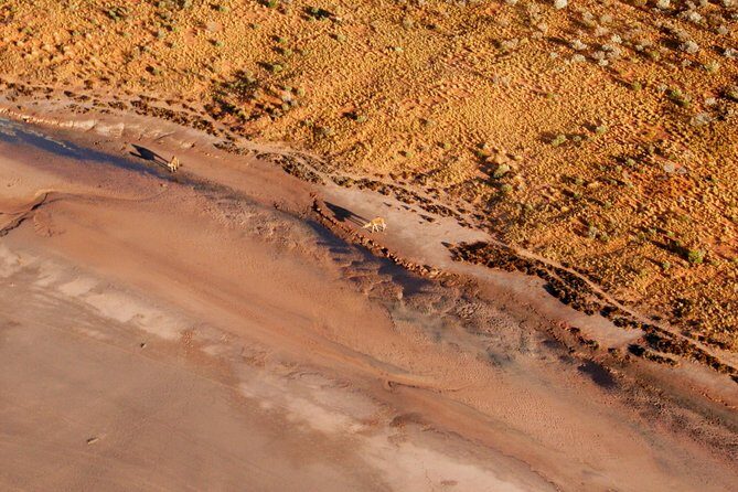 Ayers Rock and Kata Tjuta 1-Hour Scenic Flight: Lizard Safari - Who Will Love This Tour?