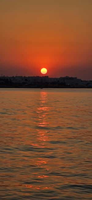 Ayia Napa: Blue Lagoon and Turtle Cove Boat Trip - Who Would Enjoy This Tour?