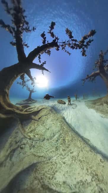 Ayia Napa: Musan Underwater Museum Scuba Dive - Key Points