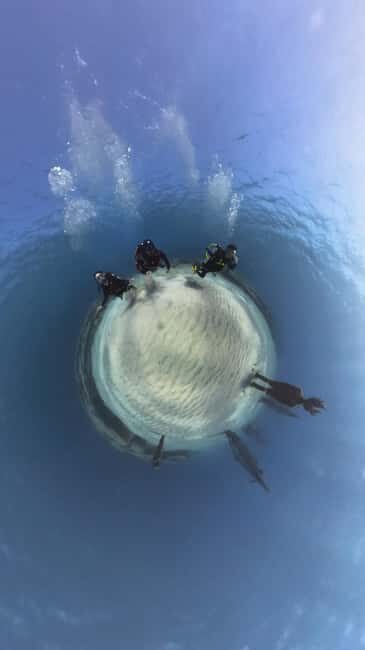 Ayia Napa: Musan Underwater Museum Scuba Dive - An Overview of the Experience