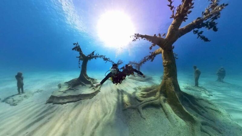Ayia Napa: Musan Underwater Museum Scuba Dive - Who Will Love This Experience?