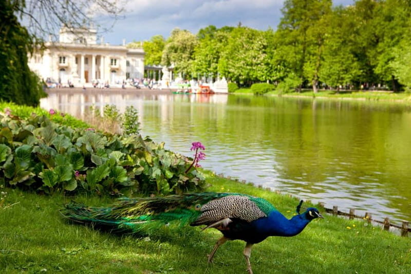 azienki Park and Palace Warsaw Private Tour with Tickets - Who Would Love This Tour?