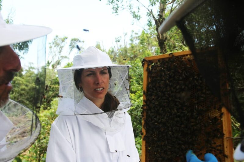 Azores Beekeeping Experience and Honey Tasting - The Scenic Setting and What It Means for Visitors