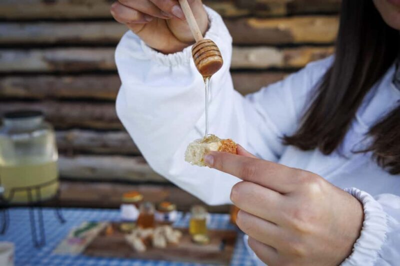 Azores Beekeeping Experience and Honey Tasting - Who Should Consider This Experience?
