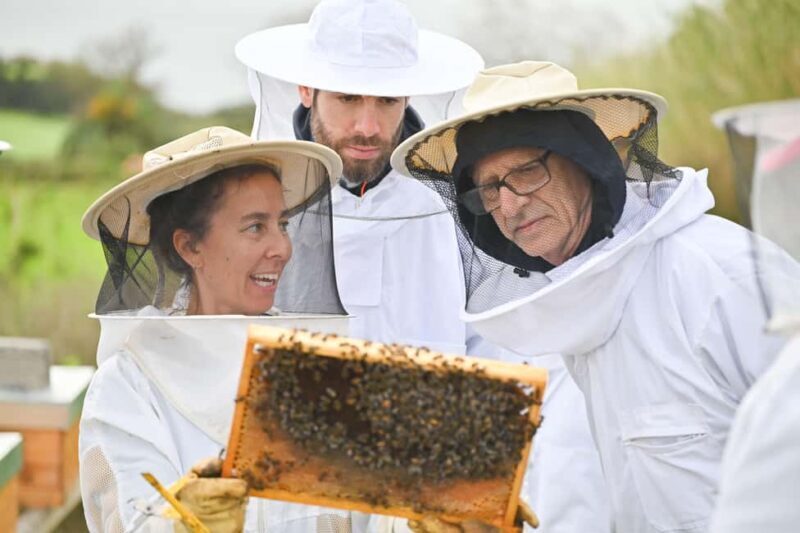 Azores Beekeeping Experience and Honey Tasting - Final Thoughts