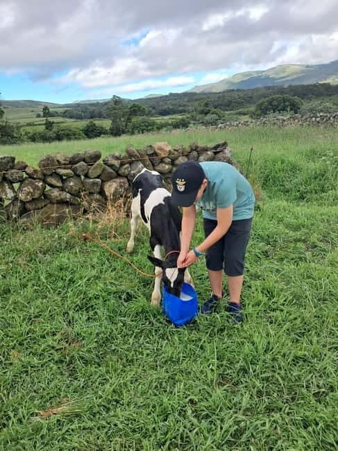 Azores: Half-Day Dairy Farm Tour - Final Thoughts