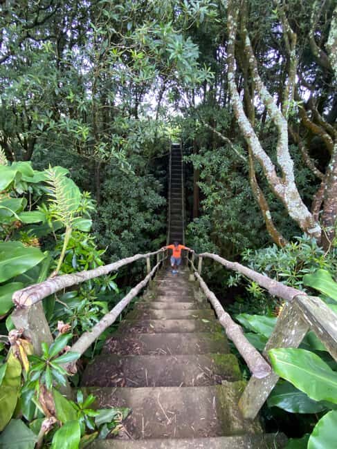 Azores: Janela do Inferno, Caldeira Velha Guided Hiking Tour - Key Points