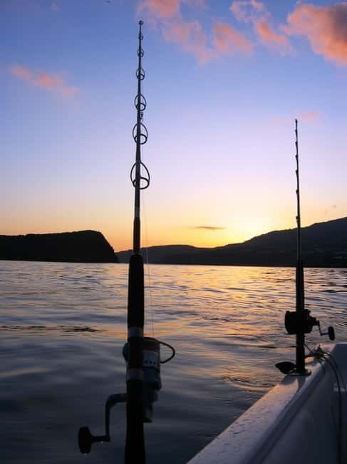 Azores: Ponta Delgada Big Game Fishing Private Tour - Key Points
