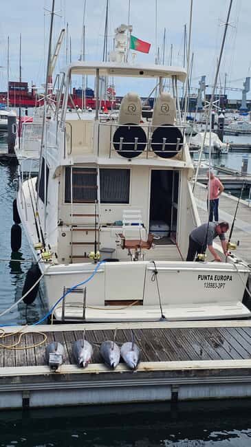 Azores: Ponta Delgada Big Game Fishing Private Tour - Is This Tour Good Value?