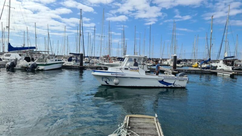 Azores: Ponta Delgada Big Game Fishing Private Tour - Final Thoughts: Who Will Love This?