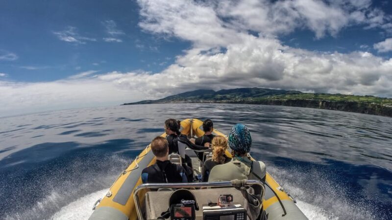 Azores: Swim with Dolphins Atlantic Experience - FAQs