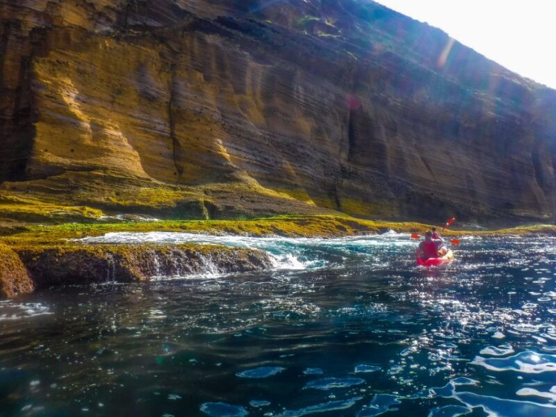Azores: Vila Franca do Campo Islet Kayaking Experience - The Itinerary: What to Expect