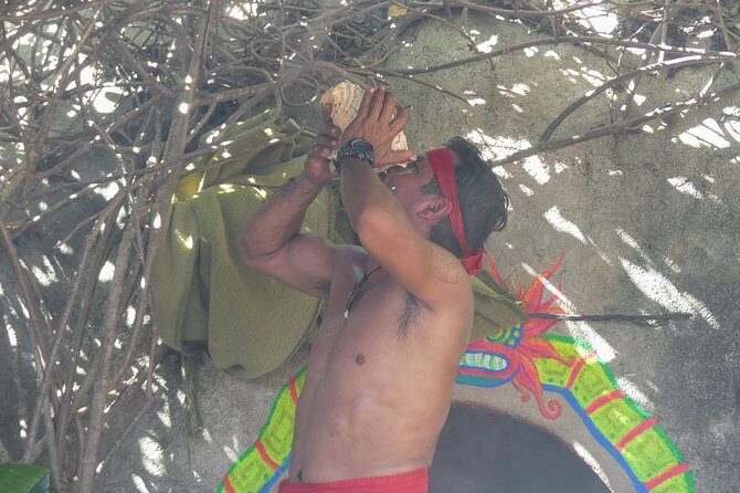 Aztec Temazcal Experience & Jungle Coyuca Lagoon &Turtle Release - A Balanced View: The Good and the Not-So-Good