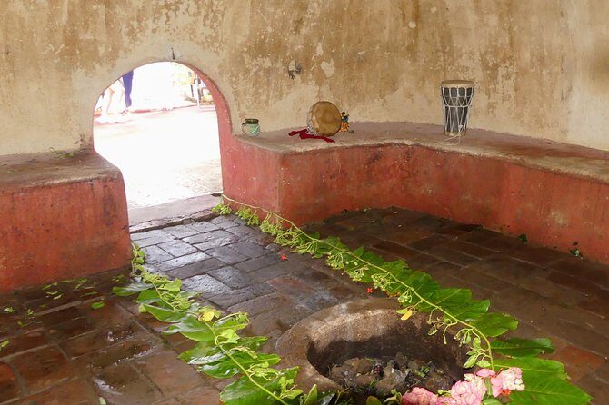 Aztec Temazcal Experience & Jungle Coyuca Lagoon &Turtle Release - Who Should Consider This Tour?