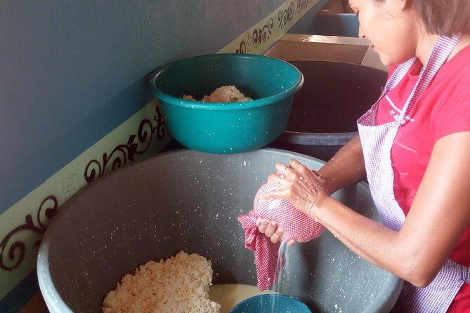 Baby sea turtles camp - What to Expect from the Baby Sea Turtles Camp