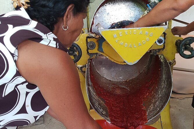 Baby sea turtles camp - Who Should Consider This Tour?