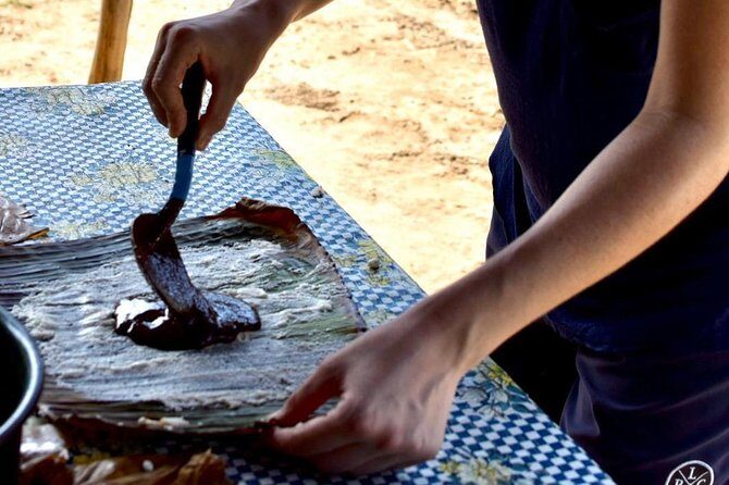 Baby sea turtles camp - Final Thoughts