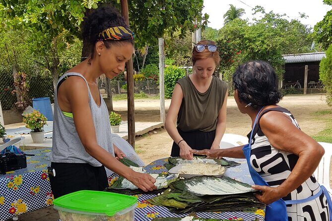 Baby sea turtles camp - FAQ