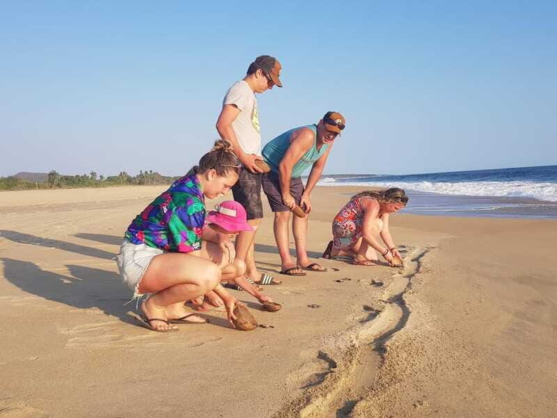 Baby Sea turtles release in Puerto Escondido - Whats Included and What to Consider