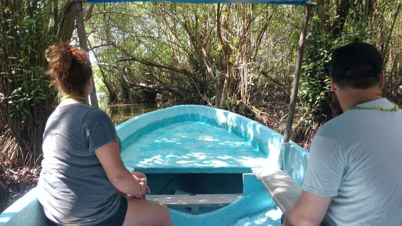 .Baby Turtle Release, Lagoon Boat Ride, and Crocodile Farm - What We Loved and What to Watch Out For