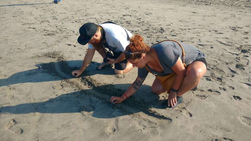 .Baby Turtle Release, Lagoon Boat Ride, and Crocodile Farm - Who Is This Tour Best For?