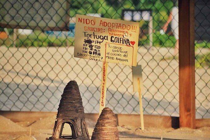 Baby Turtle Release Tour + Pick up + Courtesy in Puerto Escondido! - FAQ