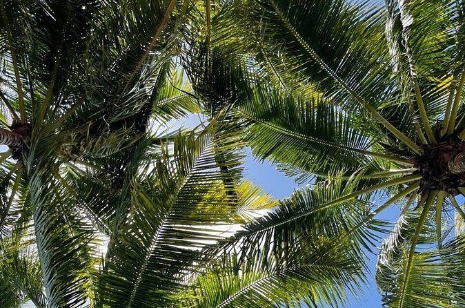 Bacalar 7 Color Lagoon and Mayan Family Experience Combo Tour - Who Would Enjoy This Tour?