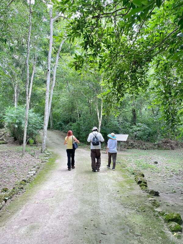 Bacalar: Calakmul daytour ruins and walk in the jungle.. - Exploring the Calakmul Experience