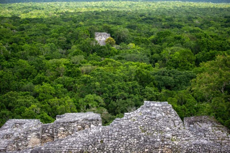 Bacalar: Calakmul daytour ruins and walk in the jungle.. - The Sum Up: Who Should Consider This Tour?