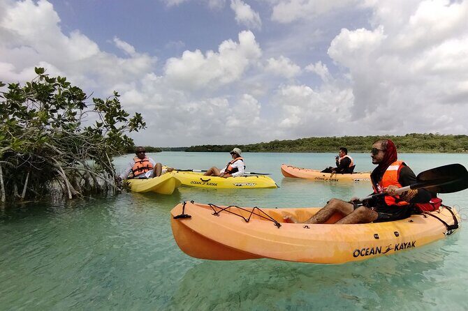 Bacalar Lagoon! Kayaks & Cenote Azul From Playa Del Carmen - What’s Included and What’s Not?