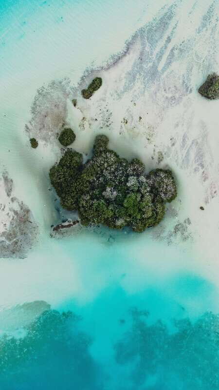 Bacalar Lagoon Sightseeing Boat Tour with Open Bar & Snack - FAQ