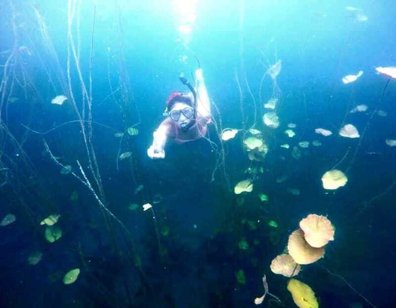 Bacalar: Magnificent Bacalar Lagoon Exclusive Boat Tour - FAQ