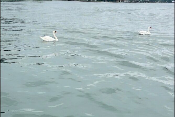 Bach Party Boat on Lake Austin 4 hours Up to 12 guests - Key Points