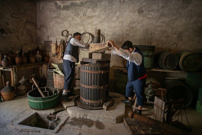 Back to the Roots - Ancient Island Interactive Experience - Practical Details & Value