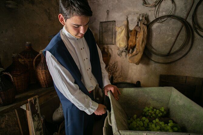 Back to the Roots - Ancient Island Interactive Experience - FAQ