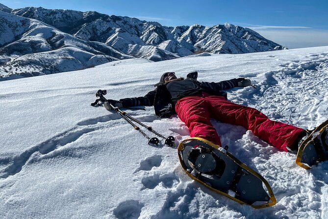Backcountry snowshoeing in pristine Utah mountains - An In-Depth Look at the Backcountry Snowshoeing Tour