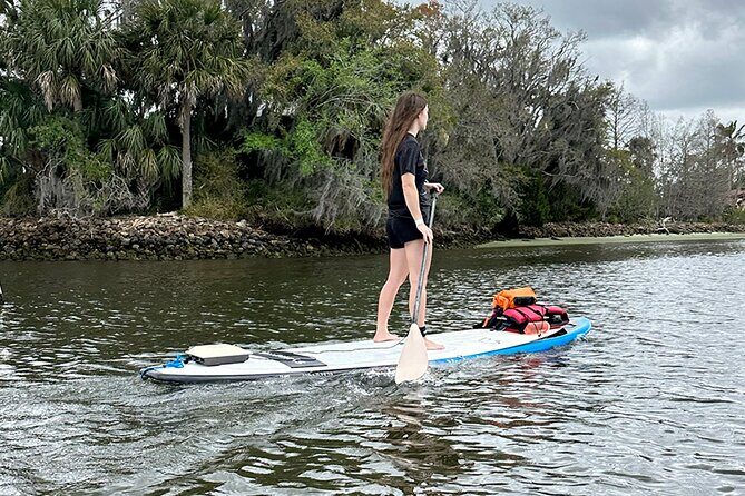 Backland Alligator Electric Paddle Tour - Exploring Shell Key Preserve