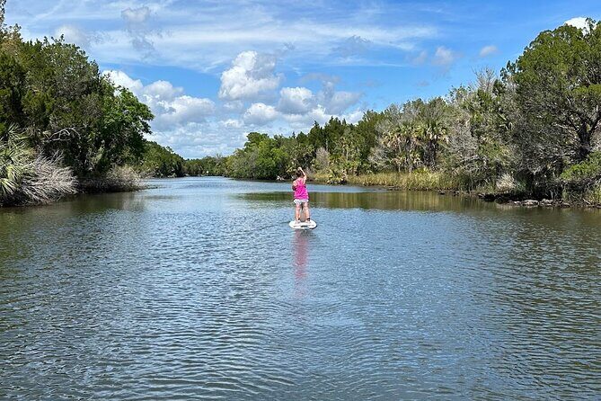 Backland Alligator Electric Paddle Tour - Wildlife Encounters and Nature
