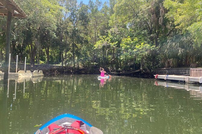 Backland Alligator Electric Paddle Tour - Practical Considerations