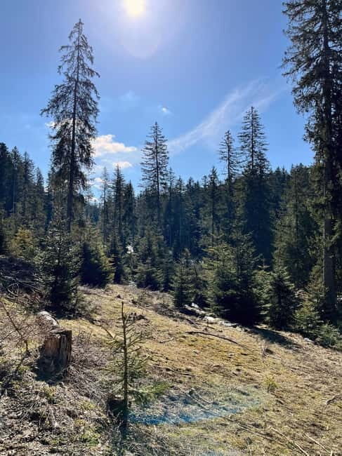 Bad Goisern: Caving & Scenic Hiking Adventure - A Closer Look at the Experience