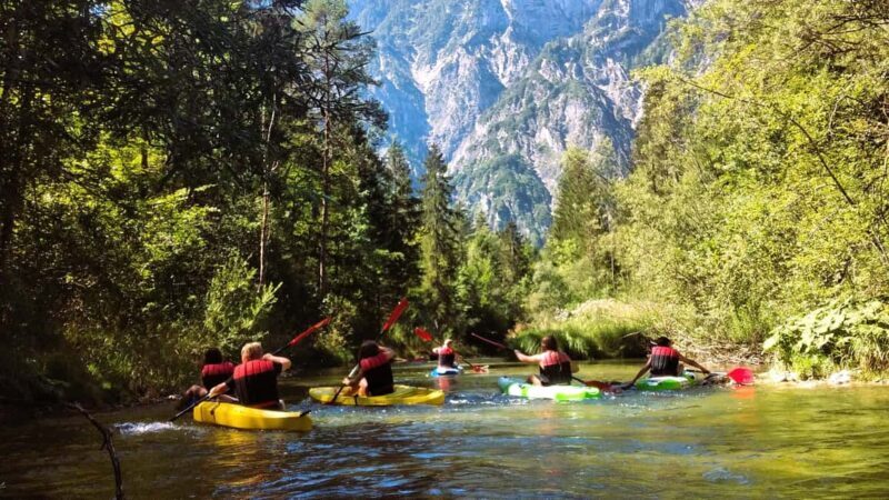 Bad Goisern: Kayak adventure on the Traun in the Salzkammergut - What to Expect from the Kayak Adventure