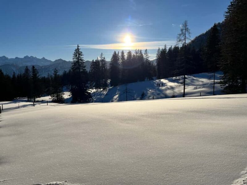 Bad Goisern: Snowshoe Tour in a Pine Forest With Panorama - Key Points