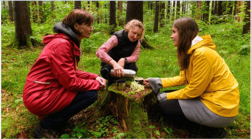 Bad Wörishofen: Shinrin-Yoku  Forest Bathing - Key Points