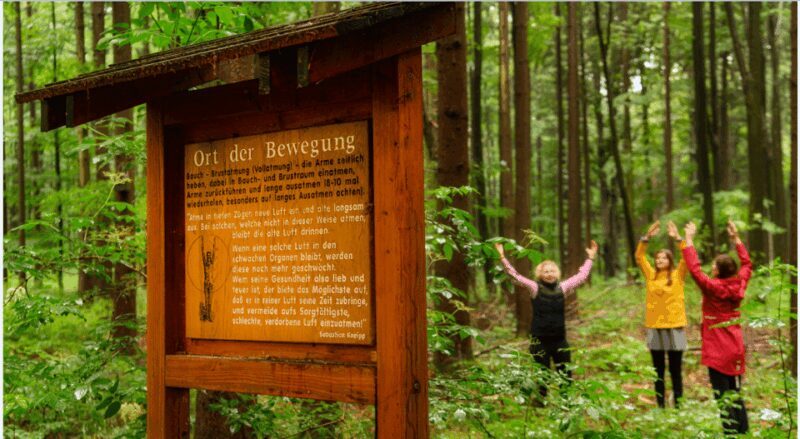 Bad Wörishofen: Shinrin-Yoku  Forest Bathing - A Closer Look at the Forest Bathing Experience