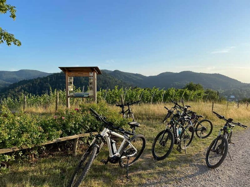 Baden-Baden: Private e-Mountainbike Tour with local Guide - FAQ