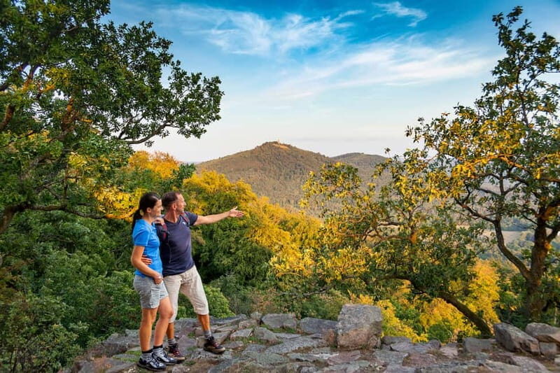 Baden-Baden: Wanderung mit dem Schwarzwald-Guide - The Value of This Experience