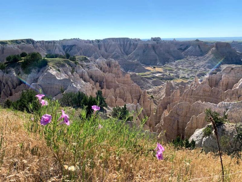 Badlands National Park: Private Bike/E-Bike Tour with Lunch - Final Thoughts: Who Will Love This Tour?